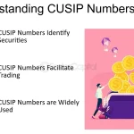 Institutional-Grade